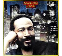 Marvin Gaye - Midnight Love [VINYL]