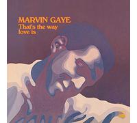Marvin Gaye - That's The Way Love Is [VINYL]