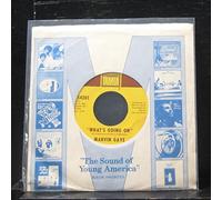 Marvin Gaye - What's Going On