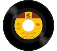 Marvin Gaye - Where Are W Going? / Woman Of The World [7" VINYL]