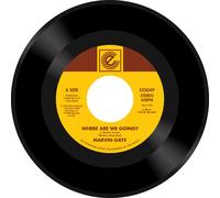 Marvin Gaye - Where Are W Going? / Woman Of The World [7" VINYL]