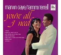 Marvin Gaye - You're All I Need