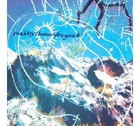 Mary Anne's Polar Rig - Makes You Happy [VINYL]