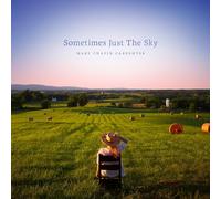 Mary Chapin Carpenter - Sometimes Just the Sky [VINYL]