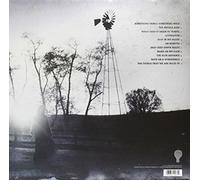 Mary Chapin Carpenter - The Things That We Are Made Of [VINYL]