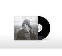mary in the junkyard - Role Model Hermit [VINYL]
