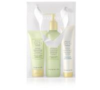 Mary Kay Hand Set - Satin Hands - White and Citrus Tea