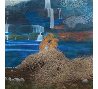 Mary Lattimore : At the Dam CD 12" Album (2016) NEW FREE Shipping, Save £s