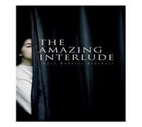 Mary Roberts Rinehart The Amazing Interlude: Spy Mystery Novel Paperback Book Mary Roberts Rinehart Multicolor