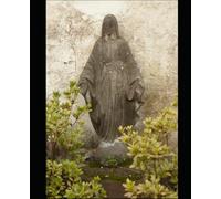 MARY THE MOTHER OF GOD: A PATH TO FIND JESUS