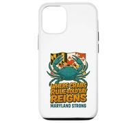 Maryland Blue Crab- Maryland Flag Retro Graffiti Case for iPhone 12/12 Pro