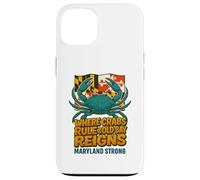 Maryland Blue Crab- Maryland Flag Retro Graffiti Case for iPhone 13