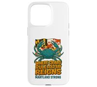 Maryland Blue Crab- Maryland Flag Retro Graffiti Case for iPhone 15 Pro Max