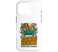 Maryland Blue Crab- Maryland Flag Retro Graffiti Case for iPhone 16 Pro