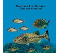 Maryland Game Fish and Panfish Species Kids Book: Great Book About the Different Types of Fish in Maryland