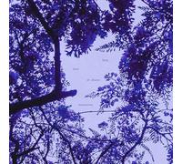 MARYSIA OSU - HARP, BEATS & DREAMS [VINYL]