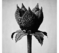 Masayoshi Fujita - Book Of Life [VINYL]