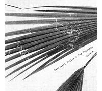 Masayoshi Fujita & Jan Jelinek - Schaum