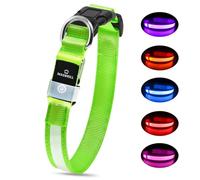 MASBRILL Luminous Dog Collar, 3 Modes Dog Collar Light with Rechargeable Waterproof, Adjustable Lighting LED Collars for Small/Medium/Large Dogs, Green M