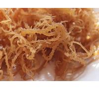MASBulk Irish Moss Sea Moss Gold Sea Weed 1kg-Fd