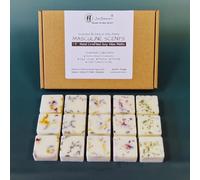 Masculine Scents - Highly Scented Botanical Wax Melts Collections (15 x 13.5g Hand Crafted) - Vegan Friendly & Cruelty Free - Plastic Free - Provide 8 to 10hrs scents/cube - Made in the UK (Masculine)