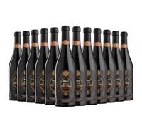 Masi Riserva Costasera Amarone Classico Della Valpolicella DOCG 75cl Italian Luxurious Red Wine 12 x 75cl | 15.5% ABV