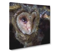 Masked Owl Canvas Print | Gallery Wrapped 30mm Frame Wall Art | 14x14 inches | Ready to Hang | Abstract Animals Picture | Living Room Bedroom Lounge Office