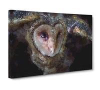 Masked Owl Canvas Print | Gallery Wrapped 30mm Frame Wall Art | 30x20 inches | Ready to Hang | Abstract Animals Picture | Living Room Bedroom Lounge Office