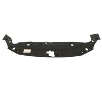 Masking tape fits: LEXUS CT ZWA10 12.10-12.16