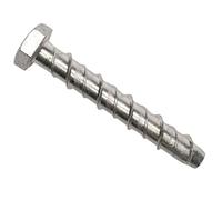 Masonmate® Hex Concrete Screwbolt M16 X 100Mm (10) 0855M620100
