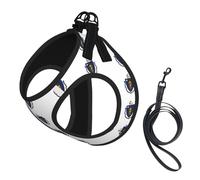 Massachusetts State Flag Print Small Dog Harness And Leash Set, Adjustable Soft Vest With 360° Reflective Straps For Cats Puppy