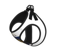 Massachusetts State Flag Print Step in Dog Harness and Leash Set,Adjustable Reflective Harness for Small Dogs Cats