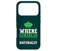 Massage Therapist PTA PT Physical Therapist Physical Therapy Case for iPhone 17 Pro