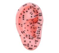 Massage Zone Model 'Ear - Anatomy 'Ear of Reflected Zone Display' Model | Beginners Educational School Class Lesson Props to Profession