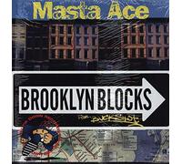 Masta Ace - Brooklyn Blocks / Last Bref