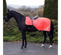 Masta Hi Viz Mesh Exercise Sheet - High-Visibility, Breathable, Summer Horse Safety Gear with Reflective Strips for Roadwork COB Orange