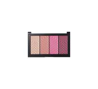 Master Blush Palette N 10