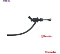 BREMBO C 56 031 Clutch master cylinder