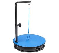 Master Equipment Pet Grooming Table for Pets,Blue