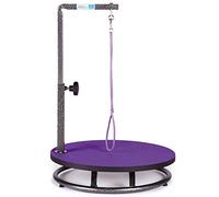 Master Equipment Pet Grooming Table for Pets,Purple