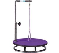 Master Equipment Pet Grooming Table for Pets,Purple