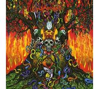 Master Musicians of Bukka - Totem 3