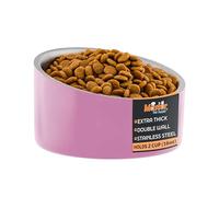 Master Pet Supply Stainless Steel Slanted Dog Cat Food Bowl - 16 oz Heavy Duty - Hyper Pink, Double Wall Insulated, Non-Slip Elevated Bowl for French Bulldogs Pugs Cats, Anti Rust Dishwasher Safe