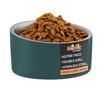 Master Pet Supply Stainless Steel Slanted Dog Cat Food Bowl - 24 oz Heavy Duty - Emerald Sea, Double Wall Insulated, Non-Slip Elevated Bowl for French Bulldogs Pugs Cats, Anti Rust Dishwasher Safe