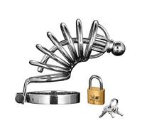 MASTER SERIES Asylum 6 Ring Locking Chastity Cage