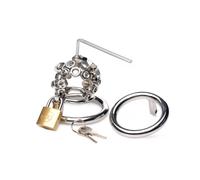 Master Series Bolted Chastity Cage with Spikes