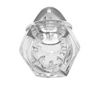 Detained 2.0 Restrictive Chastity Cage with Nubs