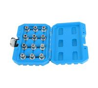 Master Set of Multi-Ribe Bits for Removing Locking Wheel Nuts, Alloy Steel Spline Bit Kit with 12pcs B51-B62, Convenient Tool Box Packaging, Effortless Usage