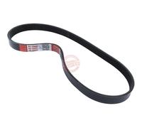 MASTER-SPORT 6PK858-PCS-MS Serpentine belt