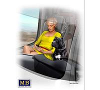 Masterbox 1: 24 - Truckers Series Joni (Lookout) Johnson